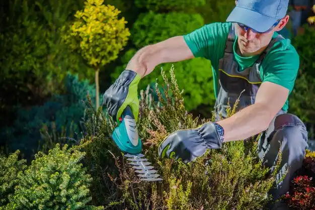 landscaping services Jean Lafitte